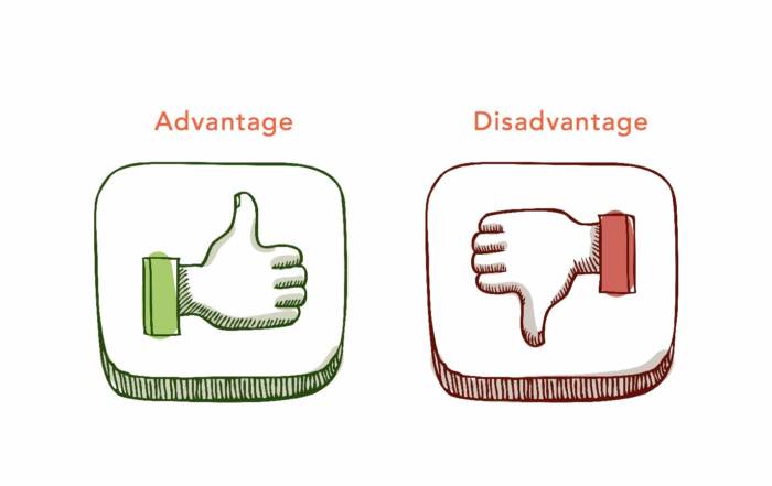 Advantages and disadvantages